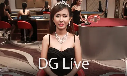 Latest nino gaming Platform Updates
